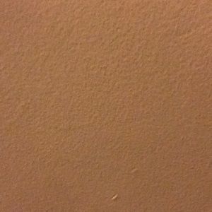 Meet your Posher, Tia